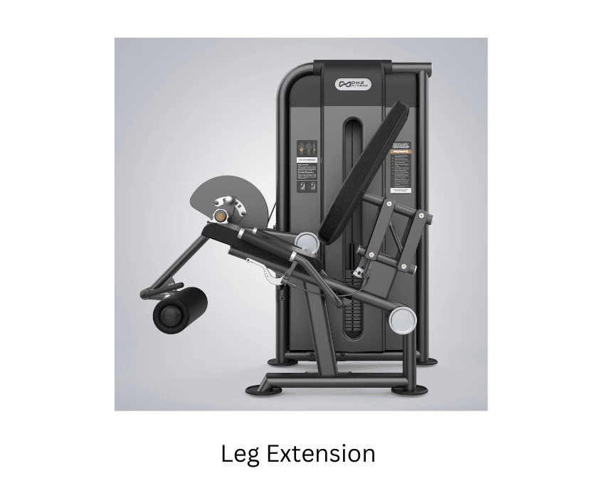 Leg Extension (1)